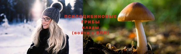 наркотики Бородино