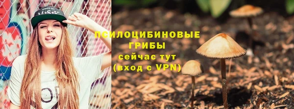 наркотики Бородино