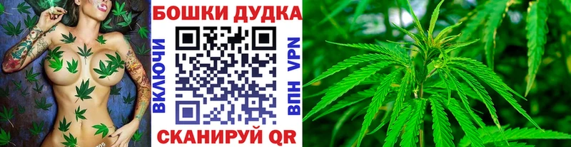 Конопля план  Купить закладки  Весьегонск 